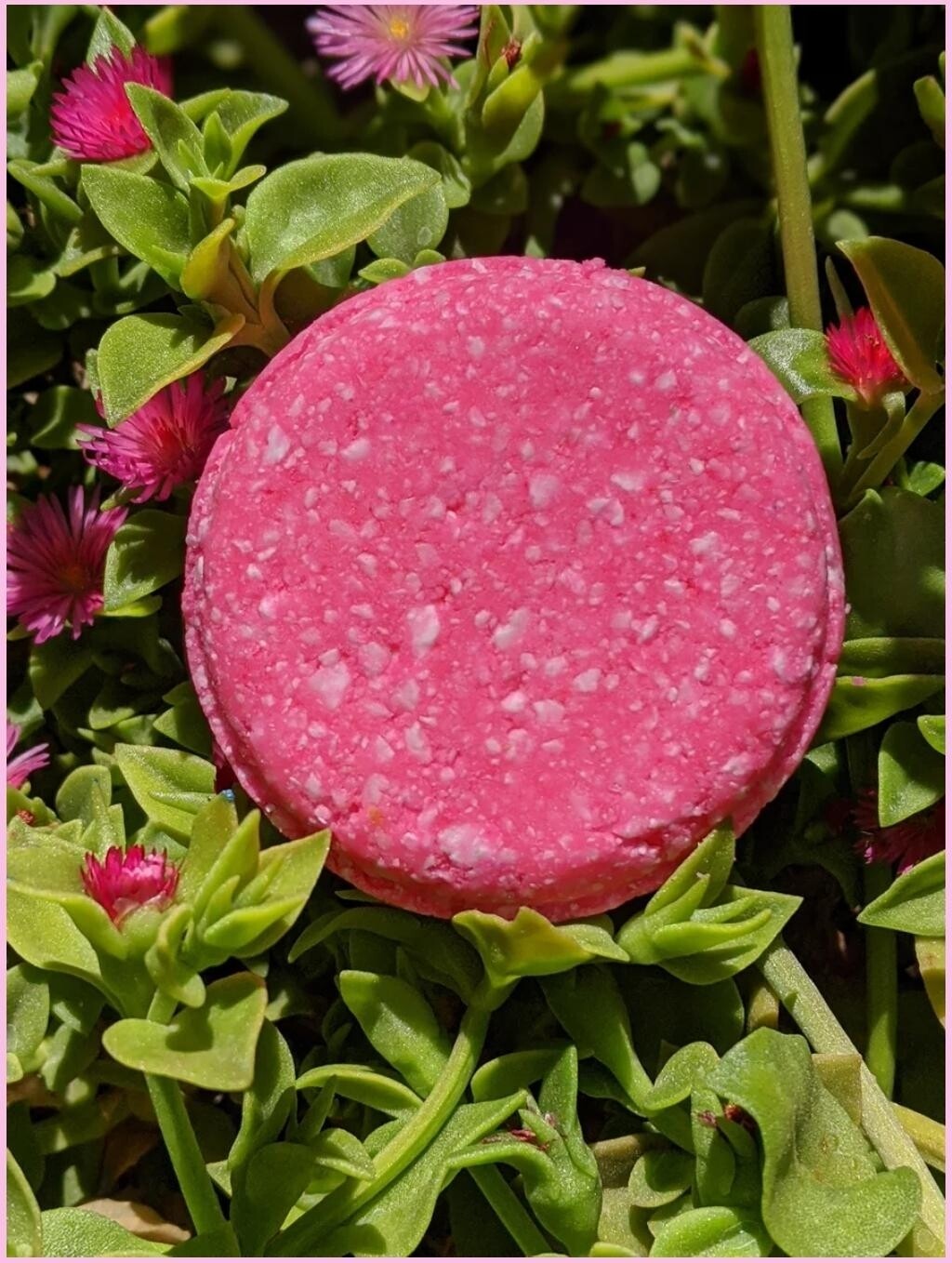 Sea Salt &amp; Orchid shampoo bar