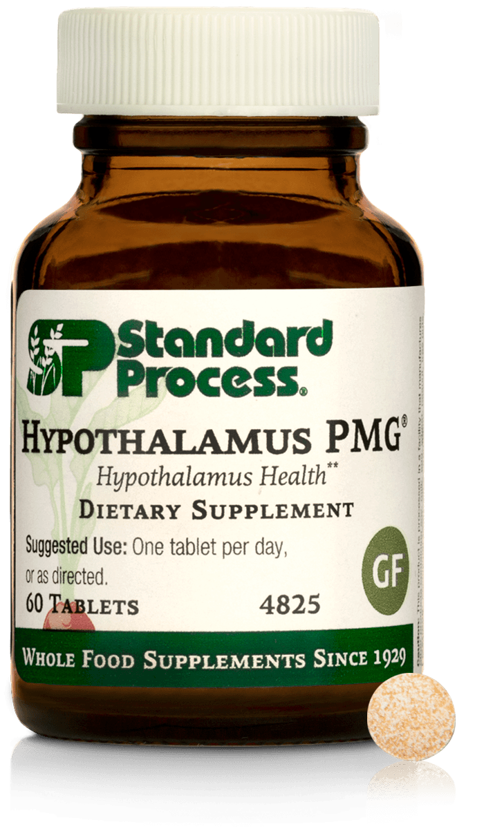 Hypothalamus PMG