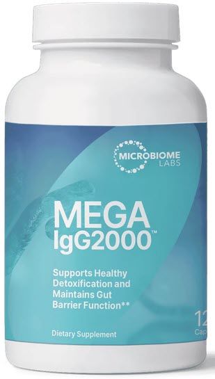 Megalg2000
