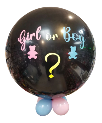 Giant Personalized Gender Reveal
