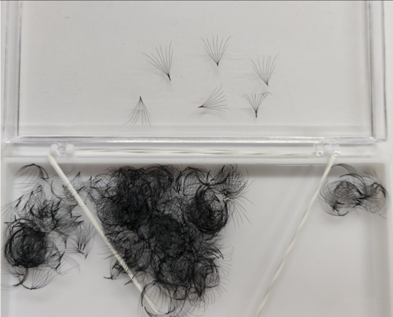 Camellia Lashes