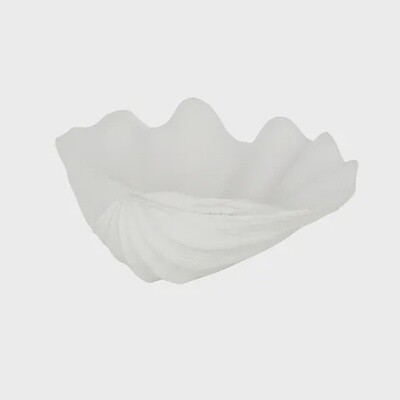 Clam Shell Resin