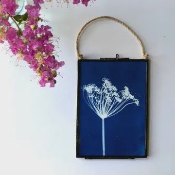 Framed Cyanotype LARGE