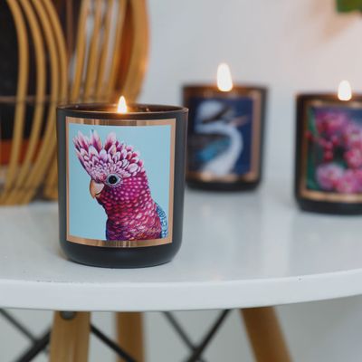 DESERT LIME Australian Artist Soy Candle