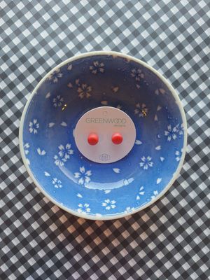 Handmade Round Resin Earrings – Coral