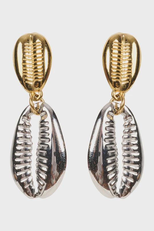 Bahama Sea Cowrie Earrings