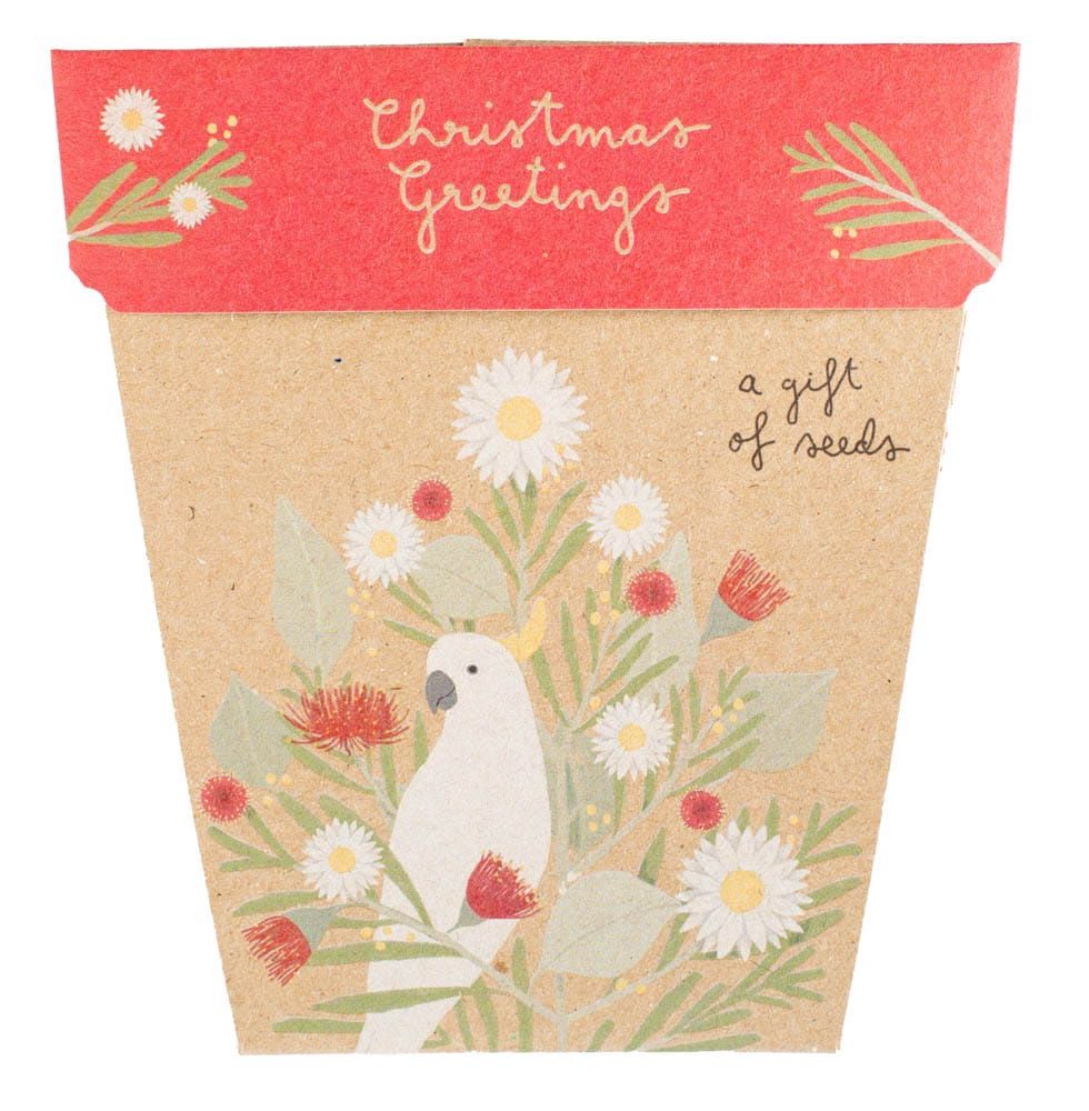 Australian Christmas Australian Christmas