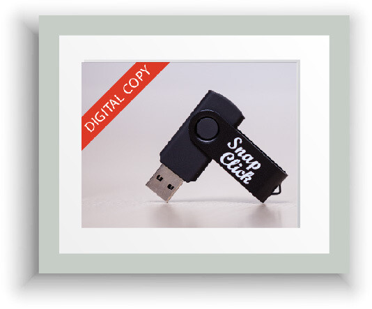 HIGH RESOLUTION DIGITAL FILES - USB