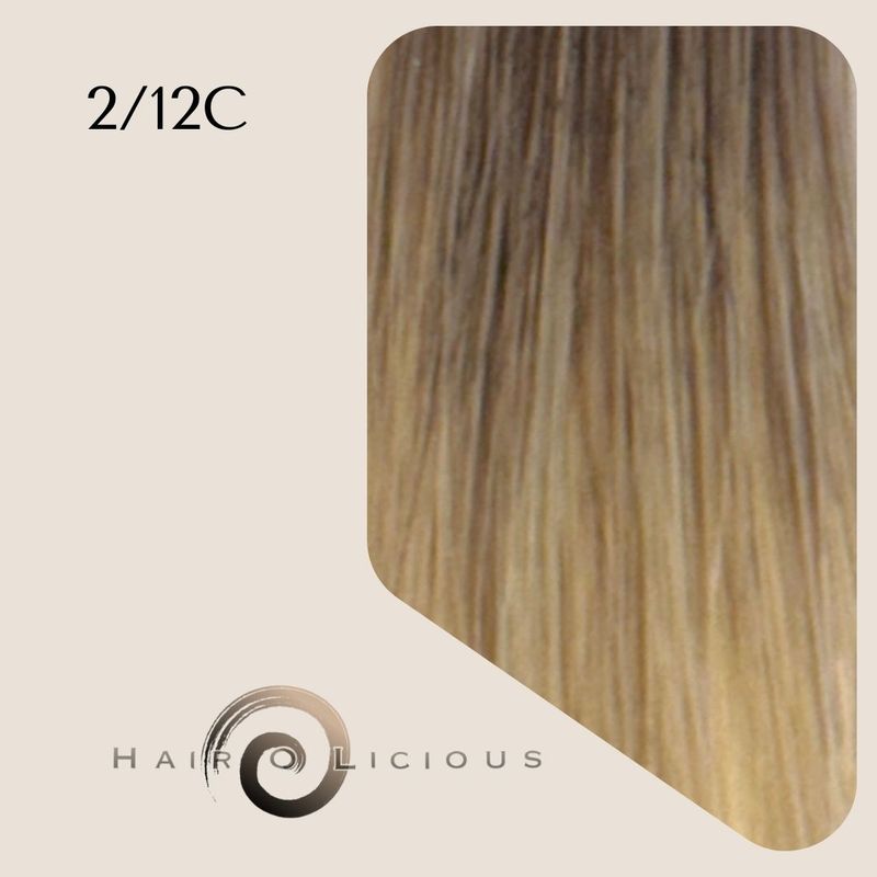 Genius Weft | Vietnamese Hair | #2/12C
