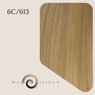 Genius Weft | Vietnamese Hair | #6C/613