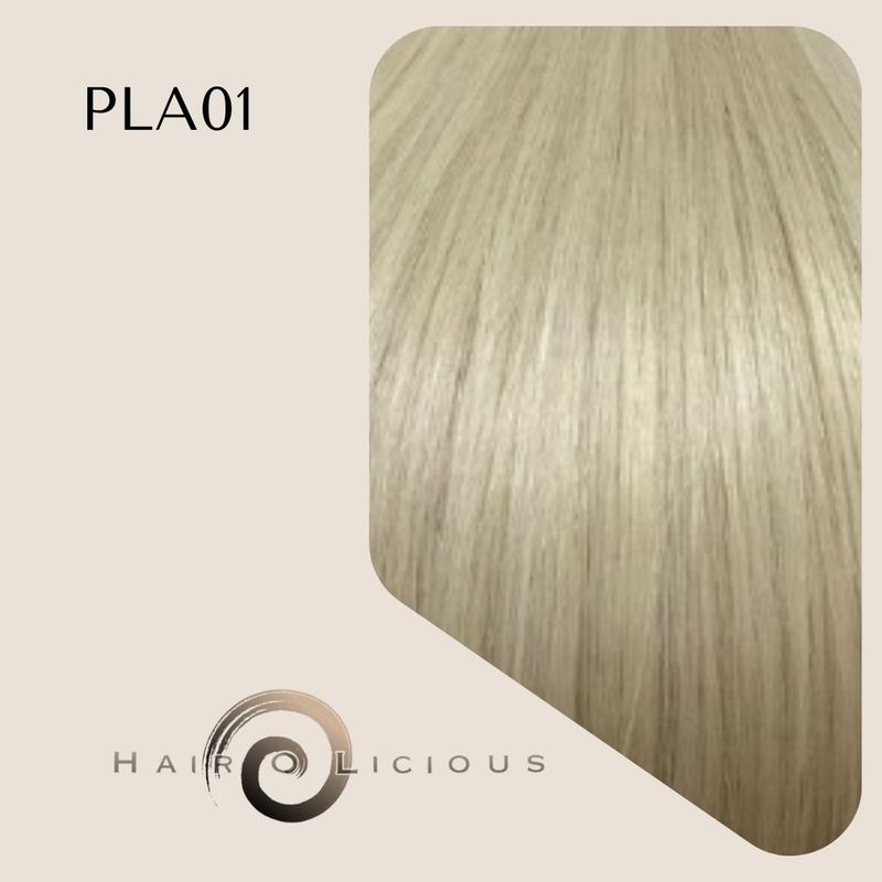 Genius Weft | Vietnamese Hair | #PLA01