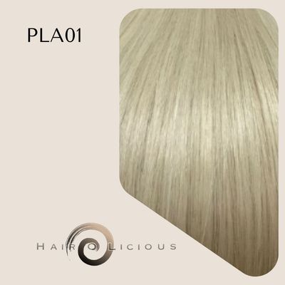 Genius Weft | Vietnamese Hair | #PLA01