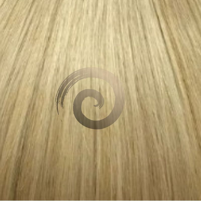Genius Weft | Vietnamese Hair | #24