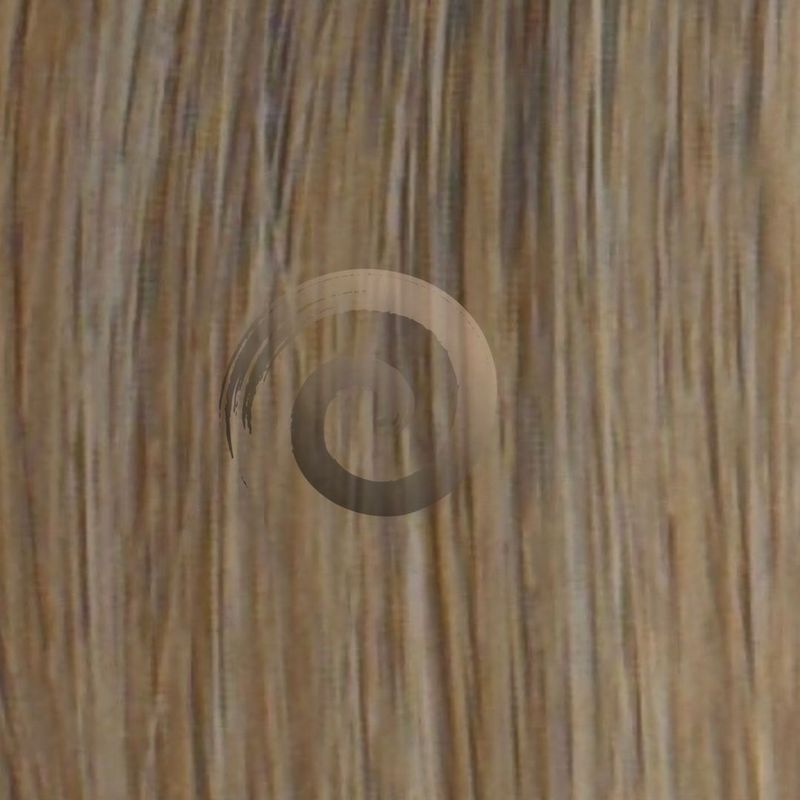 Genius Weft | Vietnamese Hair | #2/6C
