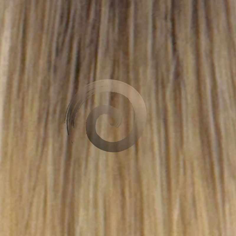 Genius Weft | Vietnamese Hair | #2/12C