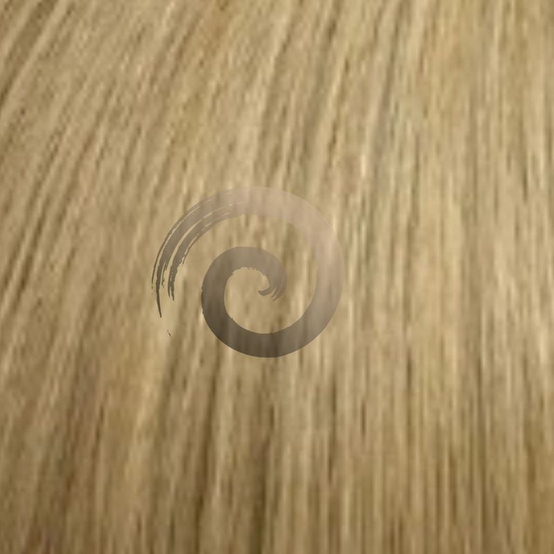 Genius Weft | Vietnamese Hair | #27