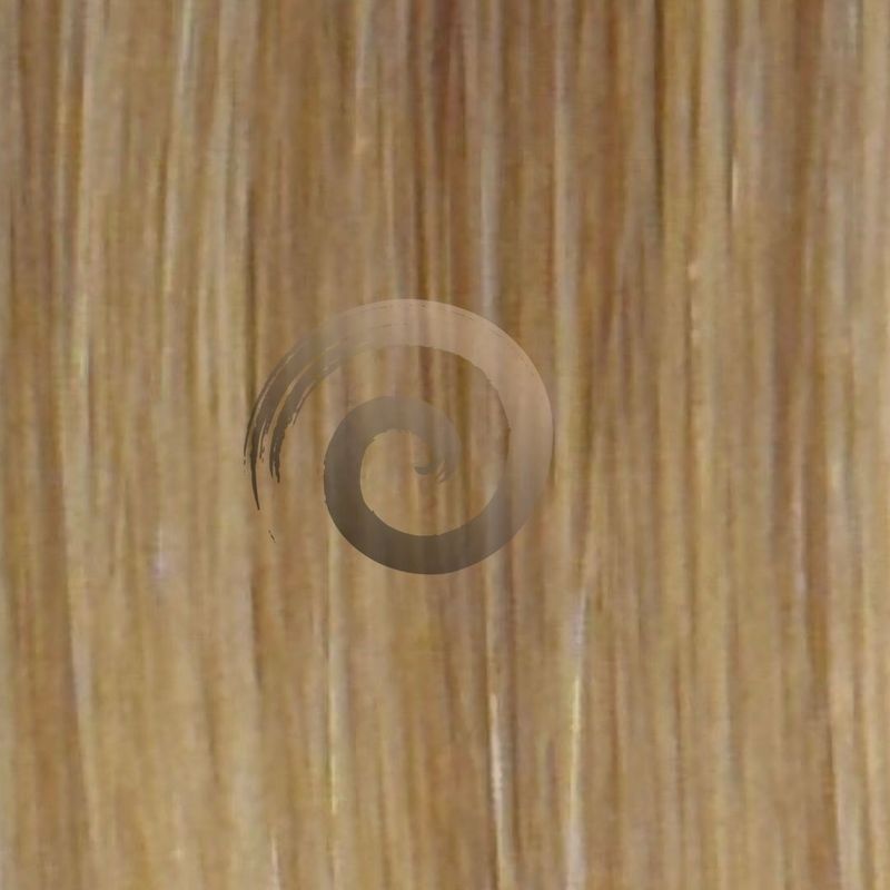 Genius Weft | Vietnamese Hair | #8/613