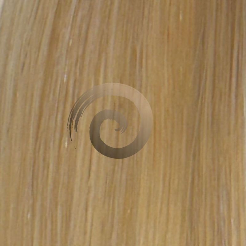Genius Weft | Vietnamese Hair | #6C/613