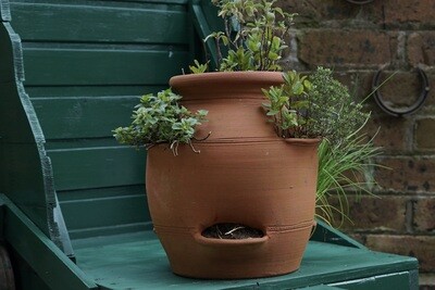Strawberry pot
