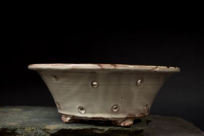 Strawberry colander