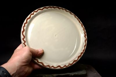 Lunch plate