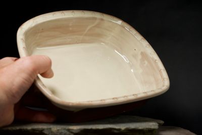 Shallow dish with handles - medium