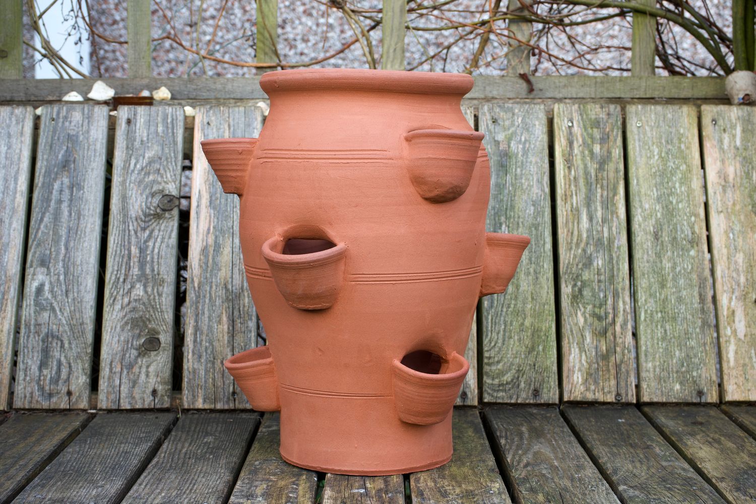 Parsley pot