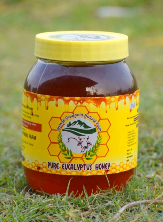 Pure Eucalyptus Honey