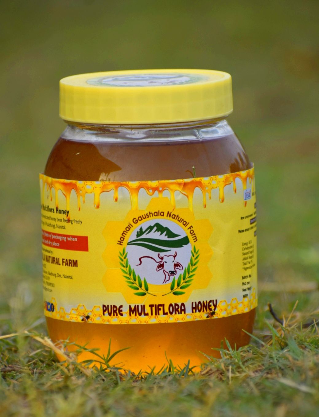 Multi Flora Honey