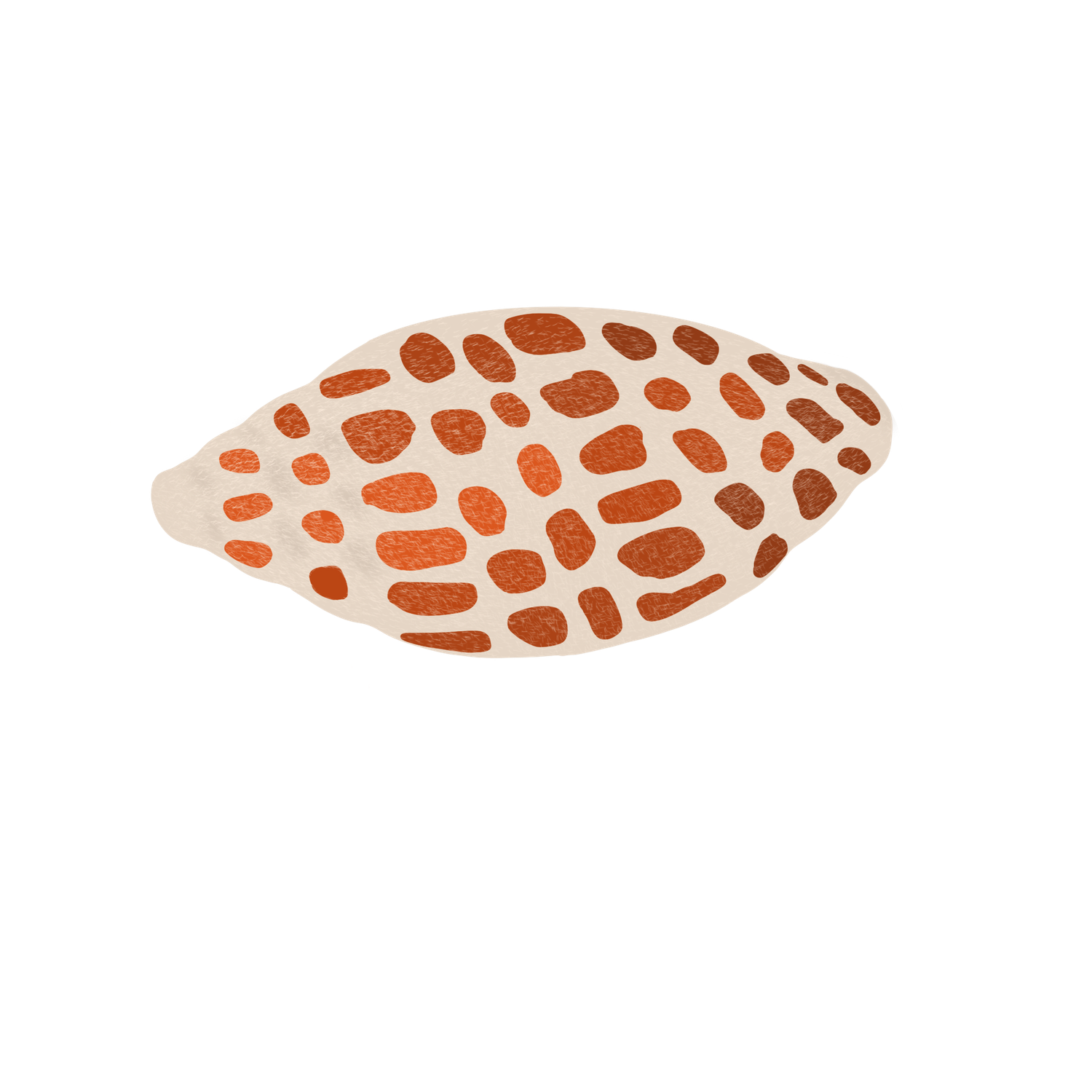 Shell Sticker PNG