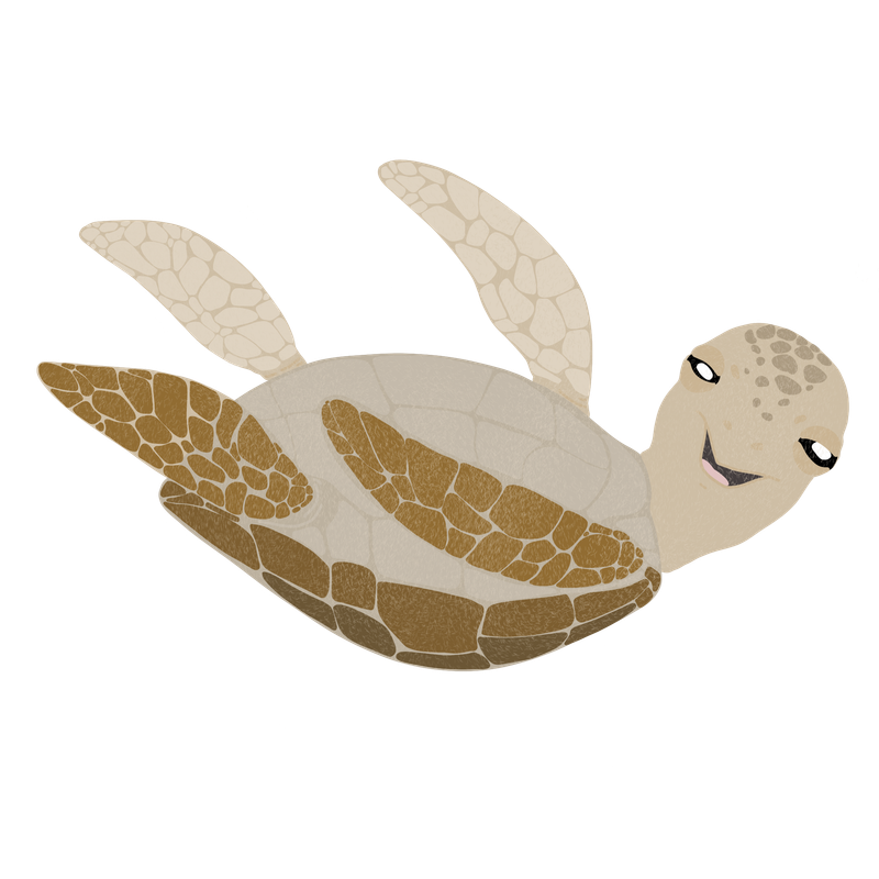 Sea Turtle Sticker PNG