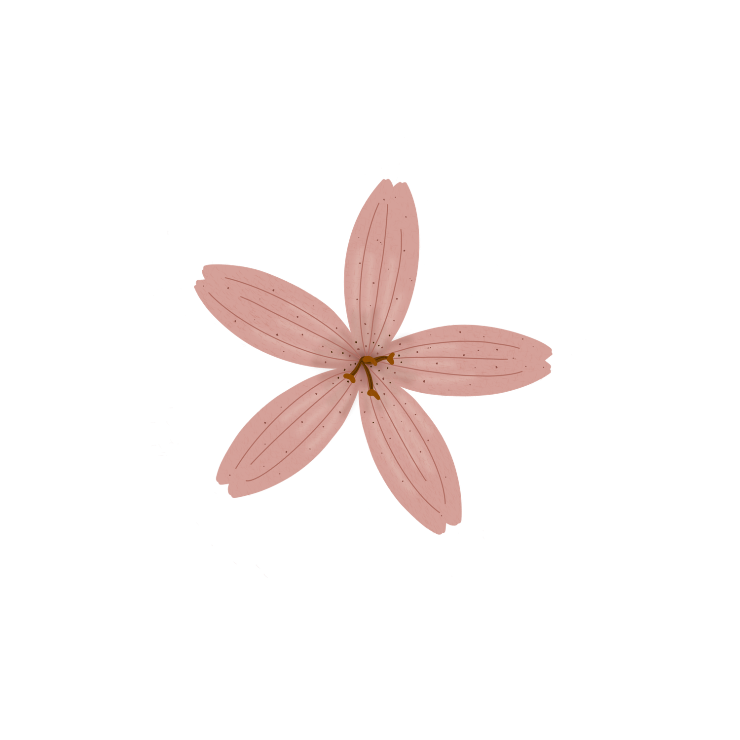 Baby Pink Lilly Flower PNG File