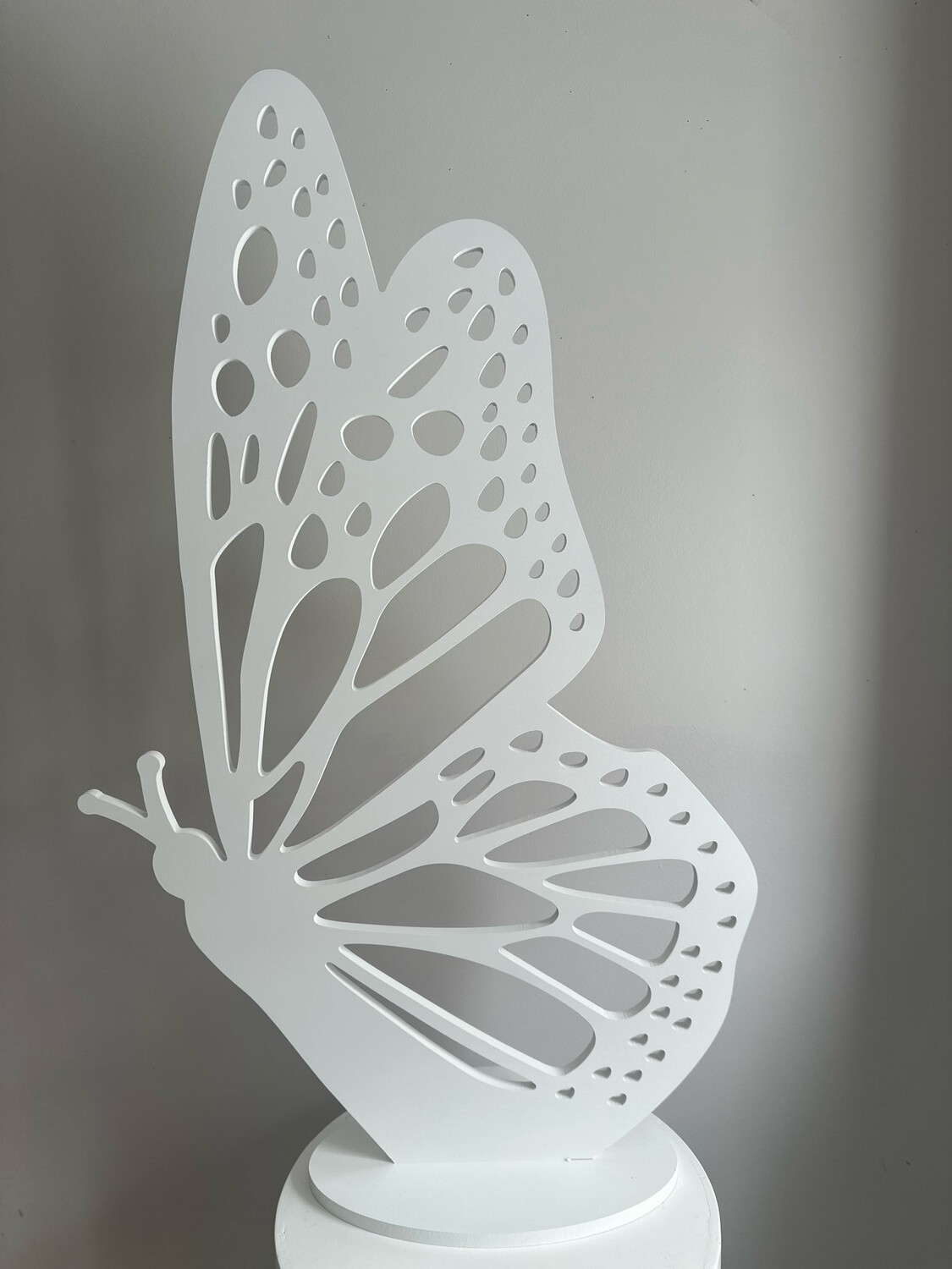 Butterfly Prop