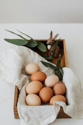 6 Huevos Ecológicos