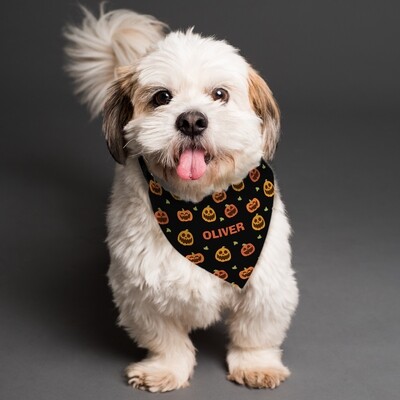 Pets &amp; Pet Lovers