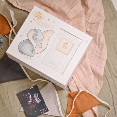 Disney Magical Beginnings Dumbo Baby Keepsake Box with 4 x 6&quot; photo