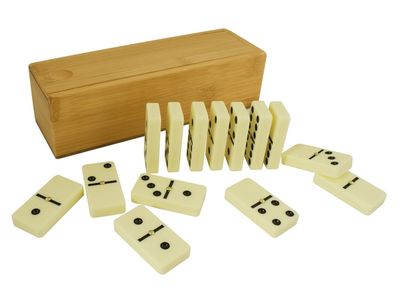 Double Six Dominoe Set