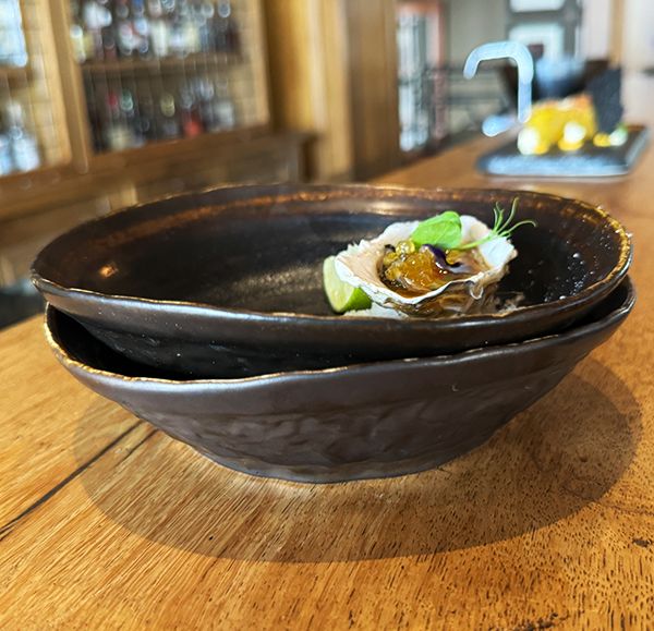 Nova Cosmic Rust Coupe Bowl 18cm (Set of 6)