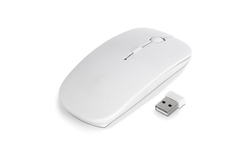 Curve Wireless Optical Mouse