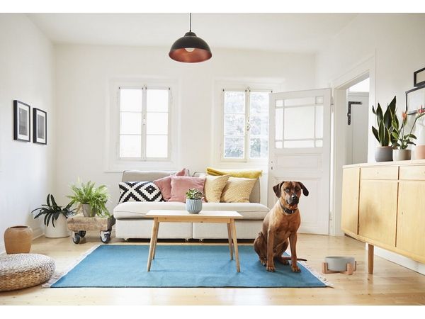 1-Piece Pet Bowl &amp; Stand