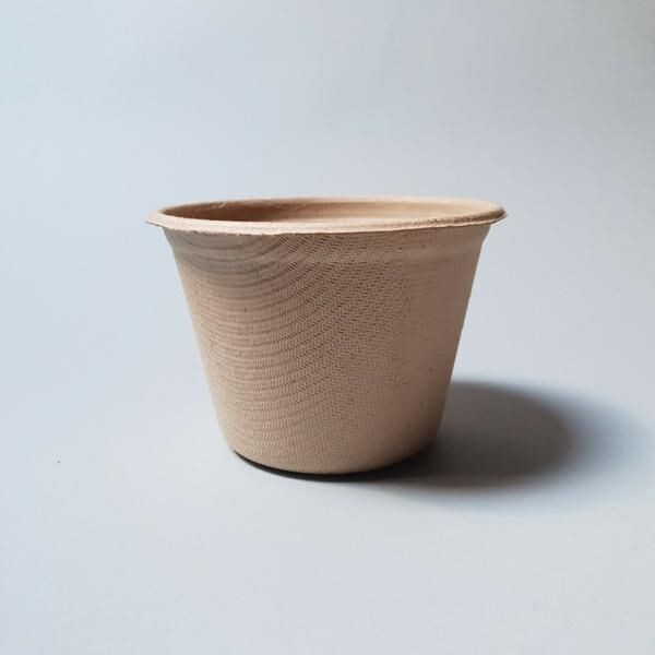 TAÇA EM FIBRA DE CANA 140 ml