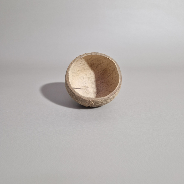 TAÇA EM CASCA DE COCO 200 ML