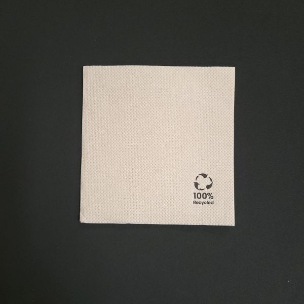 GUARDANAPO RECICLADO DE 2 FOLHAS 20 x 20 cm