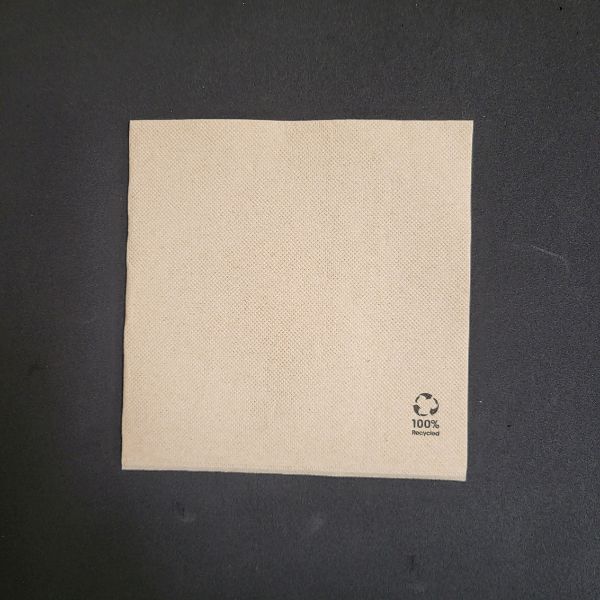 GUARDANAPO RECICLADO DE 2 FOLHAS 33 x 33 cm