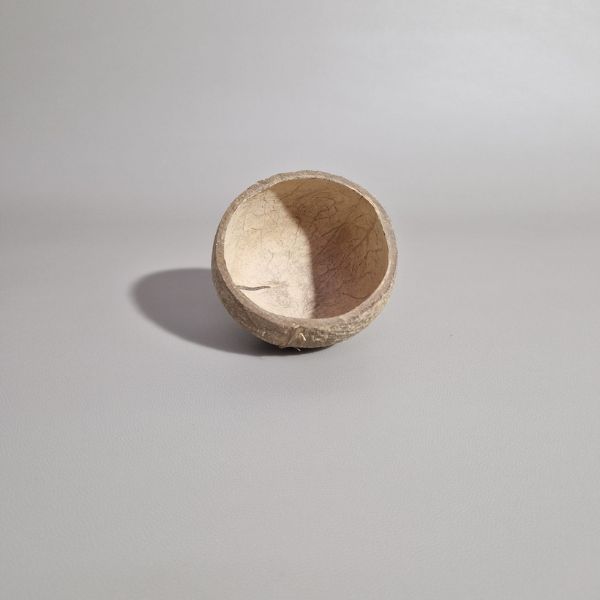 TAÇA EM CASCA DE COCO 200 ML
