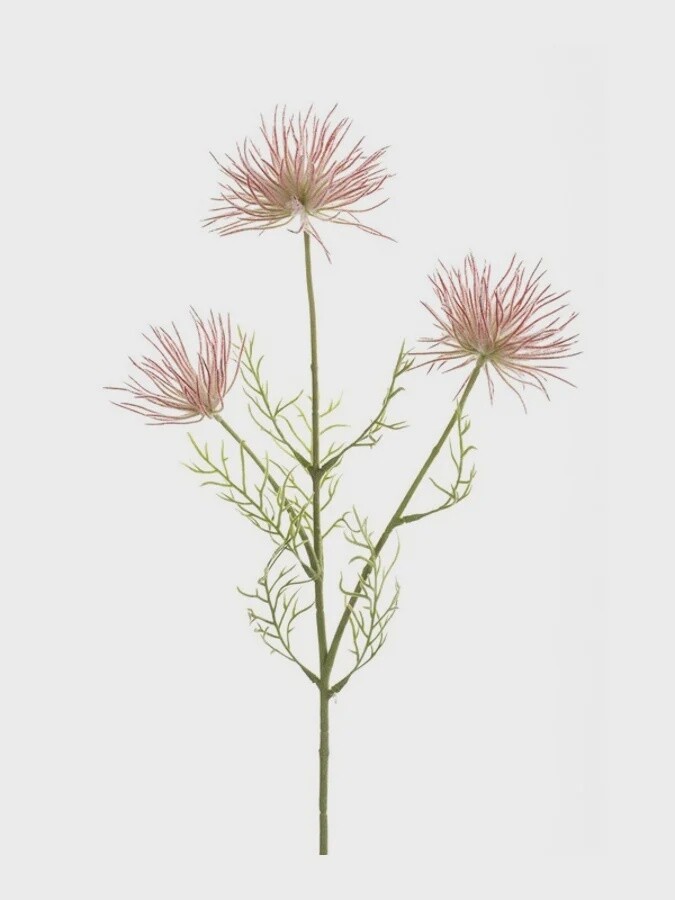 Anemone seed spray