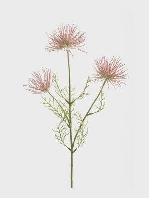 Anemone seed spray