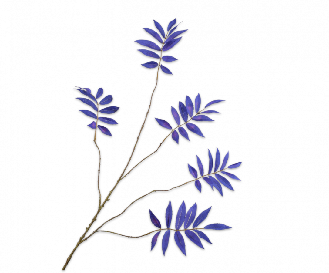 Bladtak Blauw Paars 159