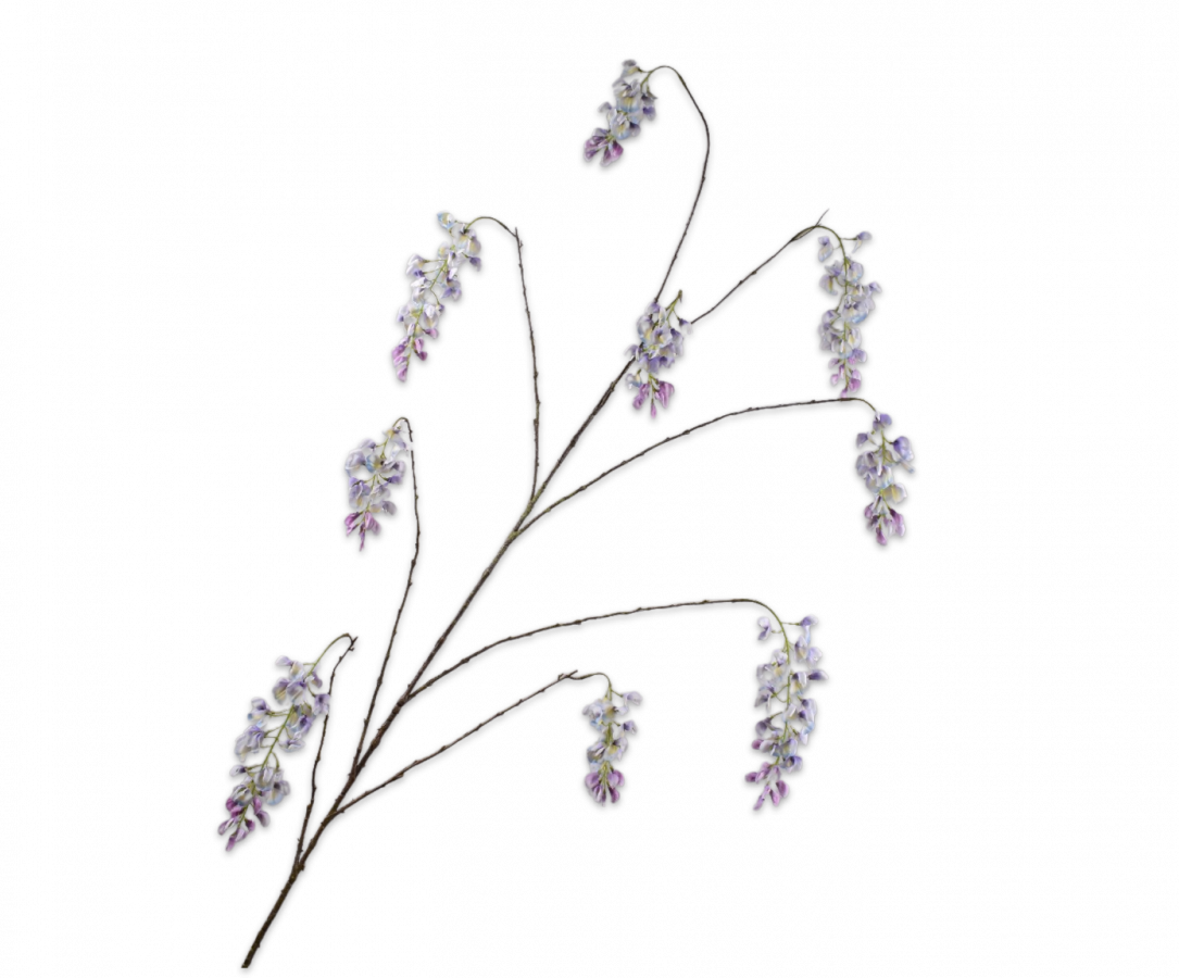 WISTERIA TAK LAVENDEL 175 cm