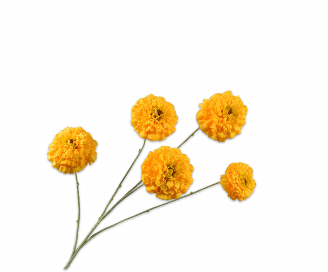 TAGETES TAK GEEL 91 cm